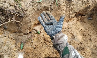 В Павлодаре ищут родственников героев Великой Отечественной войны