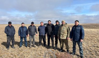 Павлодар облысында жоғалып кеткен жұмысшылар табылды