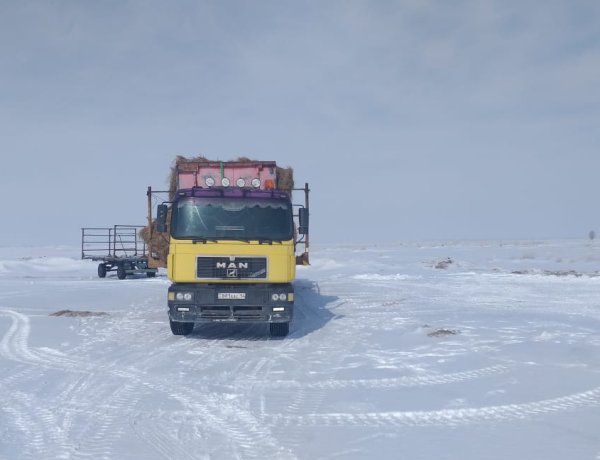 В Аксу подвели итоги декады Наурызнама
