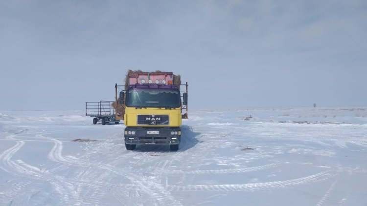 Ақсулықтар Наурызнама онкүндігін қорытындылады