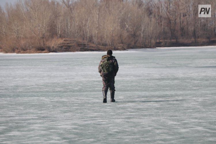 Павлодарда заңсыз балық аулаған азамат қомақты айыппұл арқалады