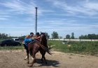 Баянауылдық болашақ математик жылқы баптап, көкпар шабады