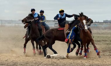 Павлодар облысында көкпардың үздіктері атой салды