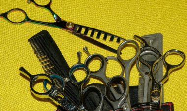 Творчество павлодарских школьников оценили в «младшей лиге» WorldSkills