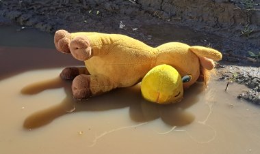 В павлодарской «103» назвали основные причины детского травматизма