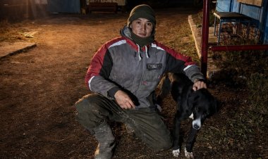 Баянауылдық студент қазақы құмай тазы асыраумен айналысады