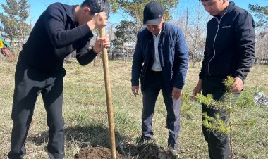 Аққулыда мыңға жуық оқушы экобастамаға үн қосты