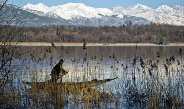 Павлодар облысында уылдырық шашу кезеңі басталды