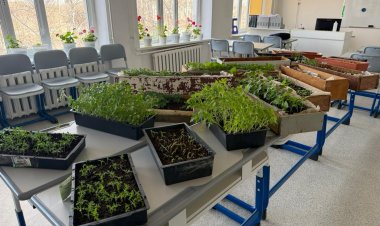 Ертіс ауданында оқушылар мектеп ауласын гүлге толы баққа айналдырмақ