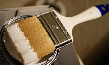 Как выбрать качественную краску для ремонта квартиры