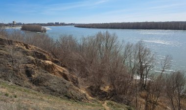 В Павлодаре обсудят сохранение Гусиного перелёта