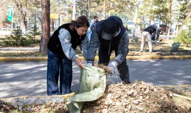 Девичий виноград и амурский бархат украсят студенческую аллею павлодарского вуза