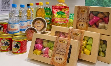 Цветной курт, тушёнка и стройматериалы будущего: павлодарцы удивили мир на EXPO