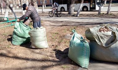 Павлодарда жетінші шағын ауданында ардагерлер көктемгі сенбілік өткізді