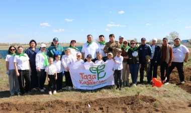 Павлодар ауданынан «Таза Қазақстан» акциясы аясында мың түп көшет отырғызылды