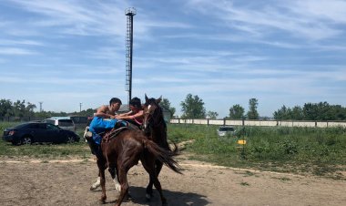 Баянауылдық болашақ математик жылқы баптап, көкпар шабады