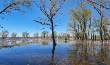 Весенние попуски: как в Павлодарской области поддержат природный баланс
