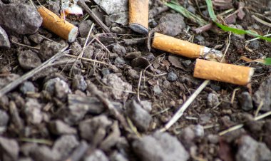 Павлодарда көшеде қоқыс тастағандар жазалануда