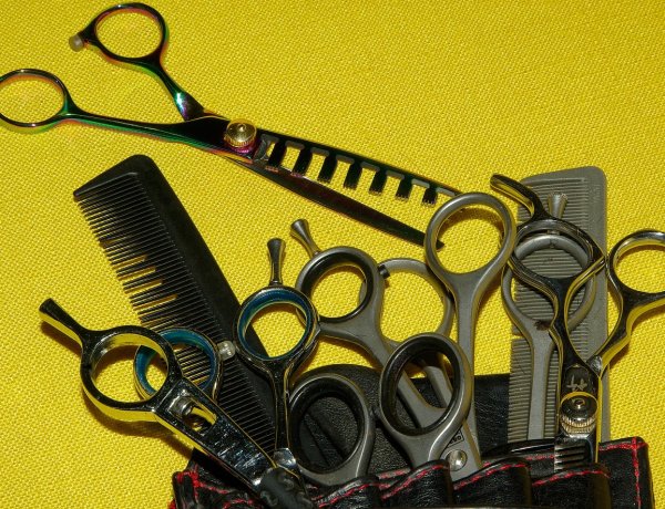 Павлодарлық мектеп оқушыларының шығармашылық қабілеттері бағаланды