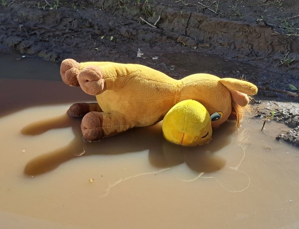 В павлодарской «103» назвали основные причины детского травматизма