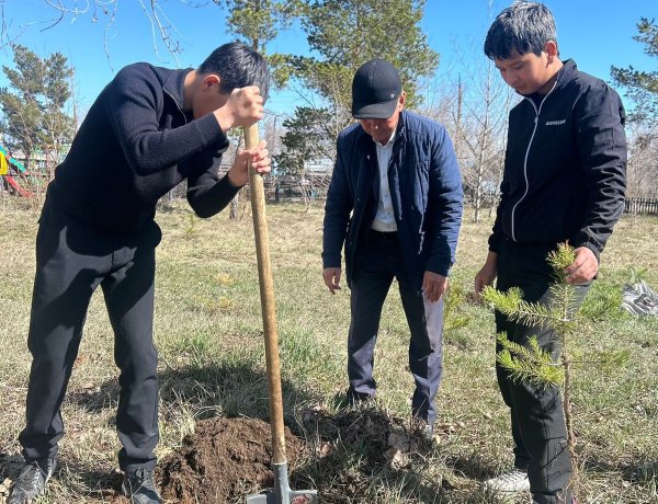 Аққулыда мыңға жуық оқушы экобастамаға үн қосты