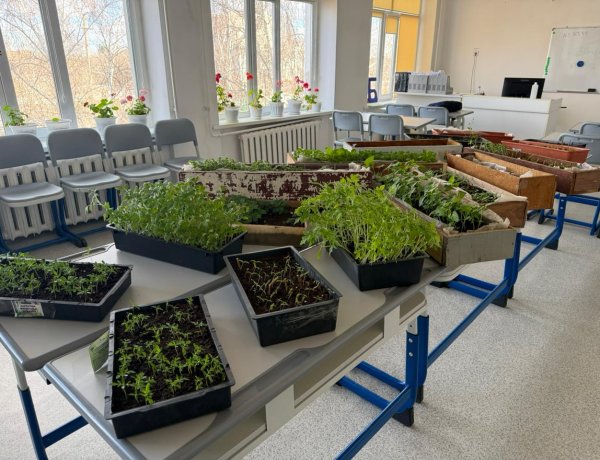 Ертіс ауданында оқушылар мектеп ауласын гүлге толы баққа айналдырмақ