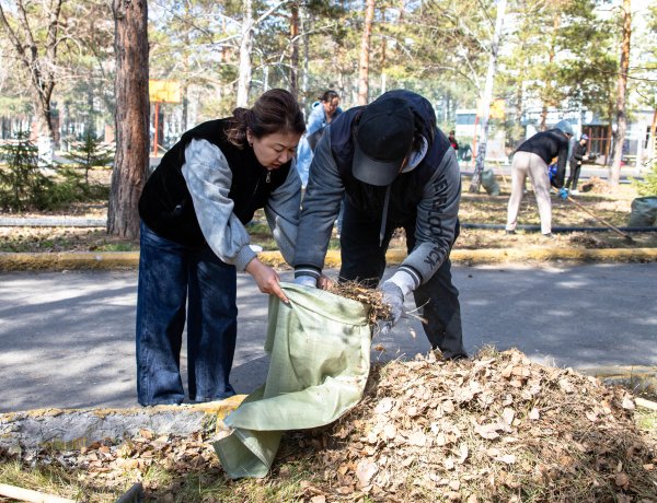 Девичий виноград и амурский бархат украсят студенческую аллею павлодарского вуза