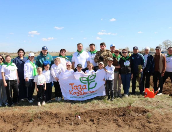Павлодар ауданынан «Таза Қазақстан» акциясы аясында мың түп көшет отырғызылды
