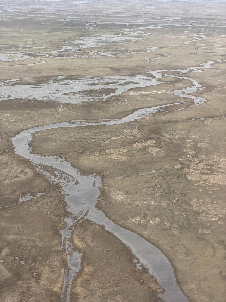 Лиманам Павлодарской области вернут функциональность