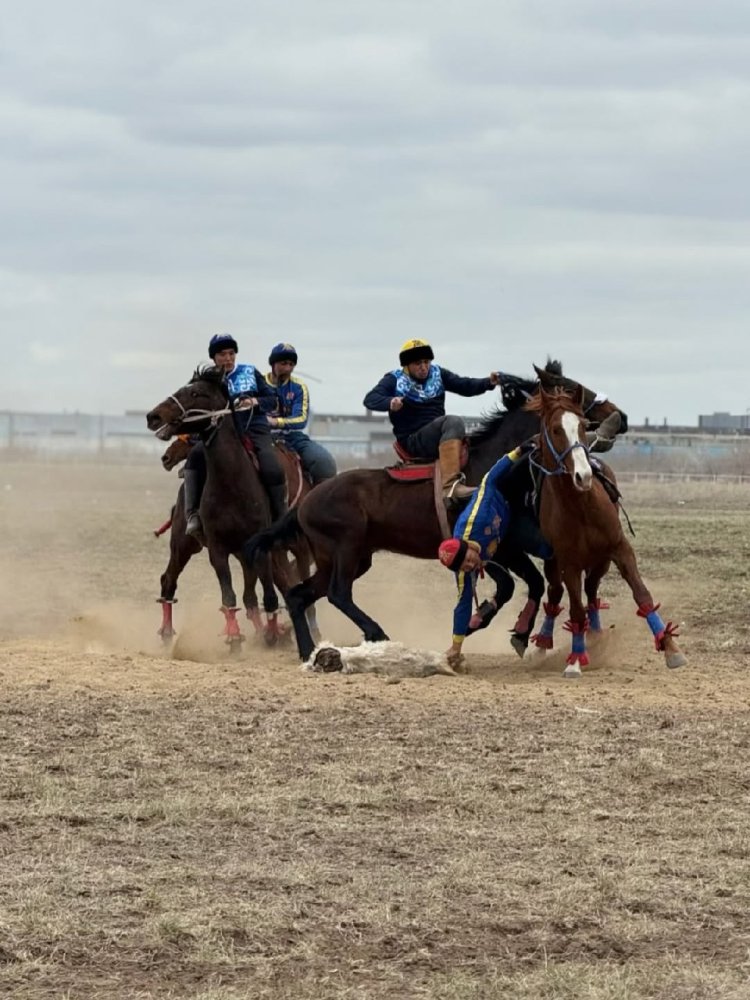 Павлодар облысында көкпардың үздіктері атой салды