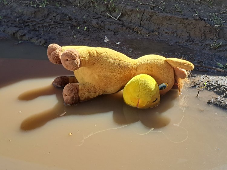 В павлодарской «103» назвали основные причины детского травматизма