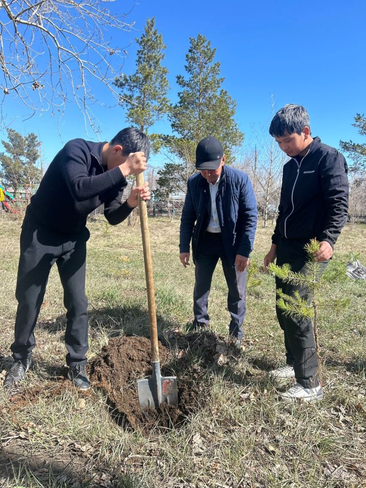 Аққулыда мыңға жуық оқушы экобастамаға үн қосты