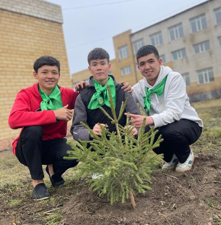 Более 50 тысяч учащихся Павлодарской области присоединились к «Таза Қазақстан»