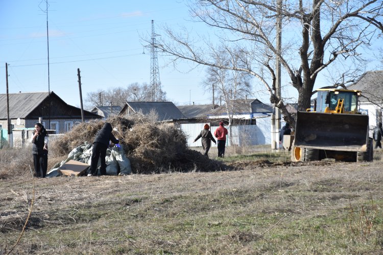 Ақтоғай ауданында плоггинг-жүгіруден жаппай экологиялық акция өтті
