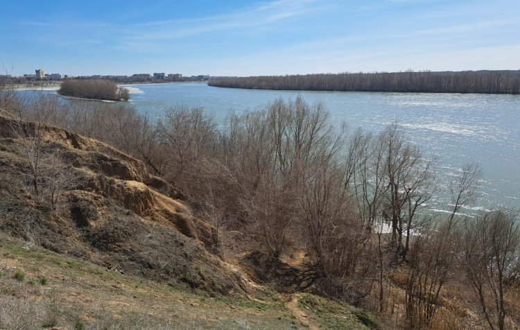 В Павлодаре обсудят сохранение Гусиного перелёта