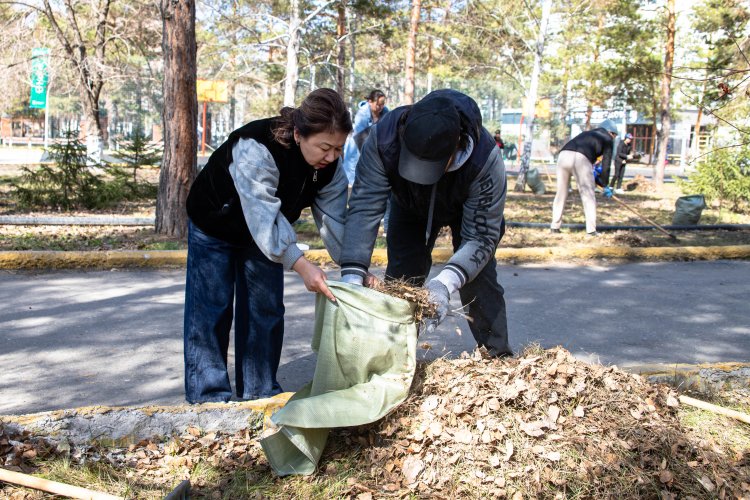 Девичий виноград и амурский бархат украсят студенческую аллею павлодарского вуза