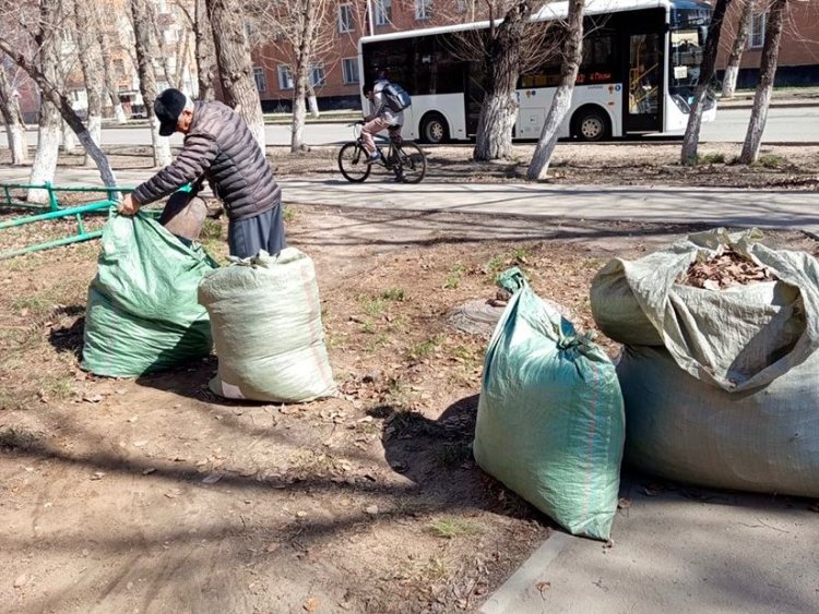 Павлодарда жетінші шағын ауданында ардагерлер көктемгі сенбілік өткізді