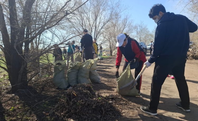В Павлодаре вывезли более девяти тысяч тонн мусора