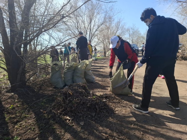 «Таза Қазақстан»: Павлодарда тоғыз мың тоннадан астам қоқыс шығарылды