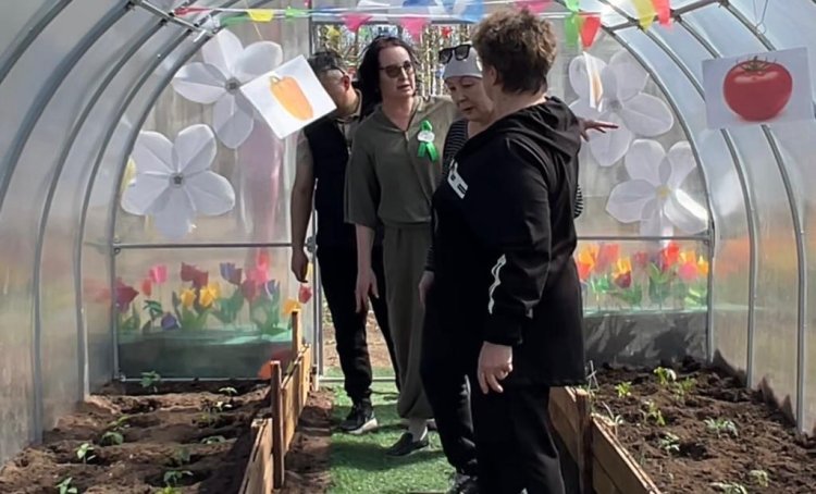 В детсаду Павлодарской области появилась теплица