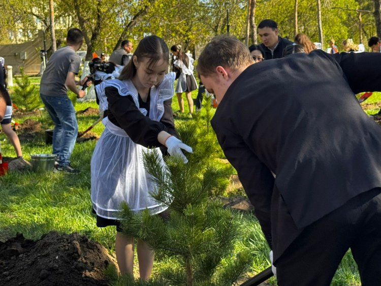 Павлодардың үздік оқушылары қаланы көгалдандыруға атсалысты