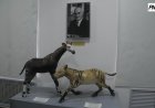 Павлодарда «Қаз қонақ» ескерткішіне арналған көрме өтті