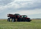 Павлодар облысының шаруалары өңдеу мен суармалы егіншілікке басымдық беруде
