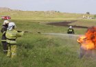 Павлодарда орман және дала өртіне қарсы іс-қимыл күшейтілуде