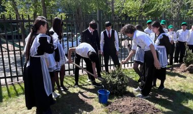 Павлодарда «Ұрпақтар сабақтастығы» акциясы аясында қарағай көшеттері отырғызылды