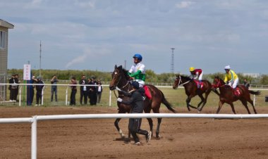 EKIBASTUZ CUP: в Экибастузе состоялся турнир по конным видам спорта
