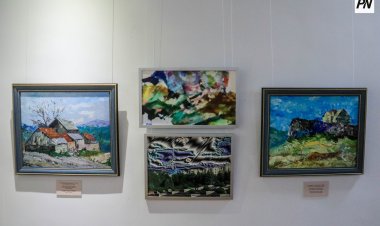 В Павлодарской области историю кимаков покажут через искусство