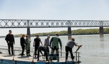 ЕГМК экологиялық бастаманы жалғастыруда: Ертіске сібір бекіресі жіберілді