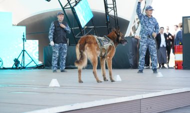 В Павлодаре четвероногий полицейский дал старт акции «Закон и порядок»