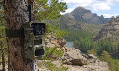 В Баянаульском нацпарке заработали фотоловушки